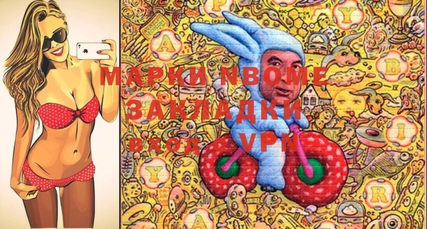 индика Пестово
