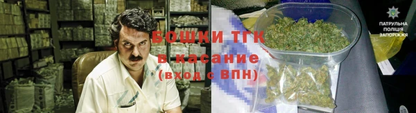 индика Пестово