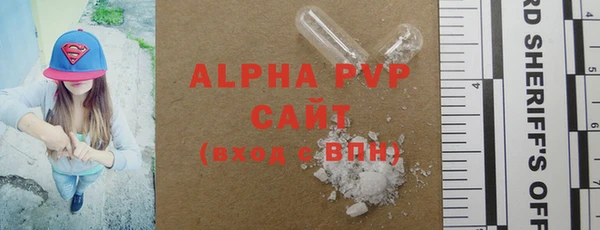 индика Пестово