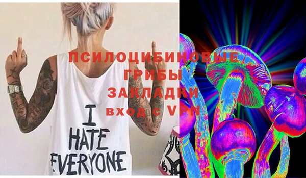 экстази Пересвет