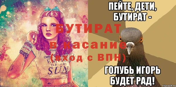 индика Пестово