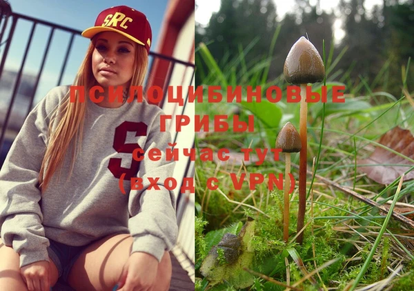 экстази Пересвет