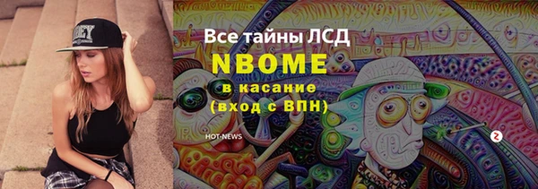 индика Пестово