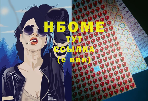 индика Пестово