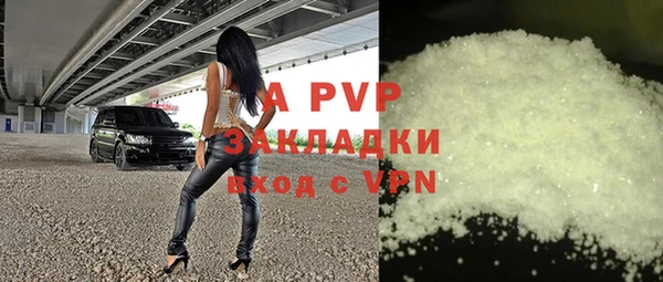 индика Пестово