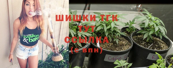 ешки Осинники