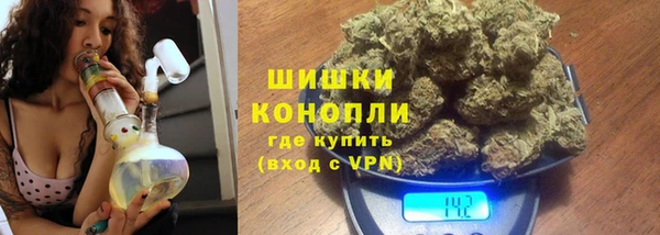 индика Пестово