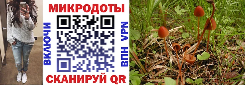 Галлюциногенные грибы Magic Shrooms  Боровск 